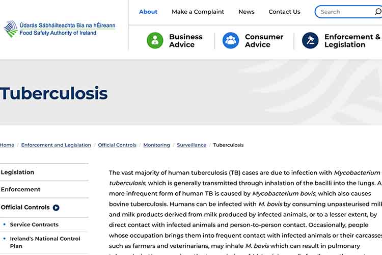 screenshot of article