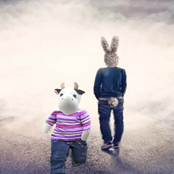 Rabbit and Cow in front of the fog